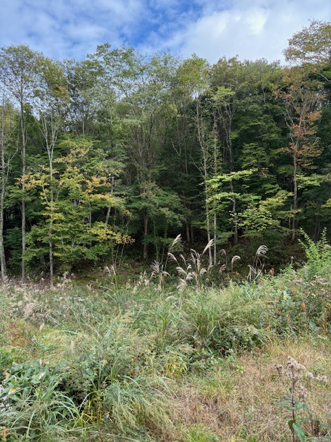 皆さんこんにちは！